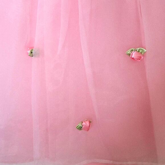 La Princess Sheer Pink Infant Girl Dress w/ Pink Rosettes 24 Months - Picture 5 of 10